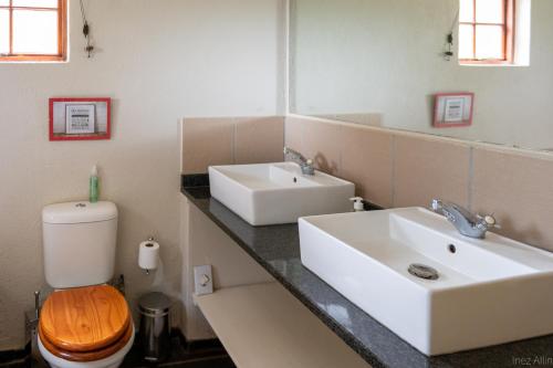 a bathroom with a sink and a toilet and a mirror at Bushriver Lodge in Mica