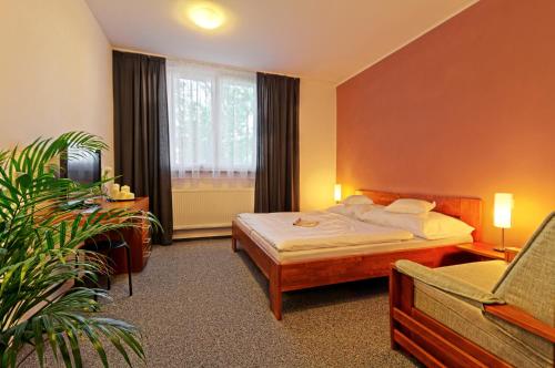 1 dormitorio con cama y ventana grande en Penzion Jelínek, en Opočno