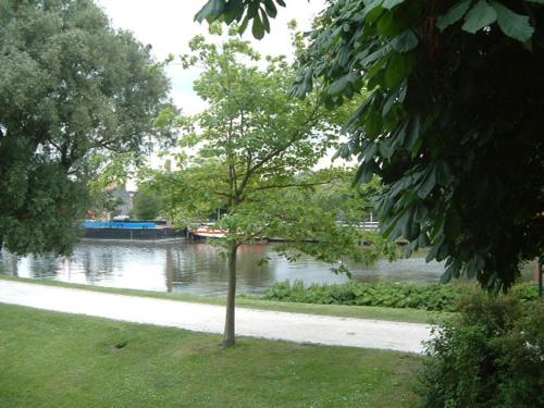 een boom aan de kant van een rivier met een boot bij B&B Waterside in Brugge