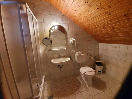 a bathroom with a shower and a toilet and a sink at Appartement zur Post in Ferlach