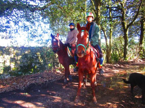 two people riding horses on a trail with a dog at Il Mandorlo di Monteriggioni in Monteriggioni
