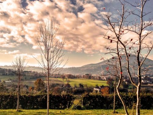 two trees in a field with a cloudy sky at Le Piracante in Caiazzo