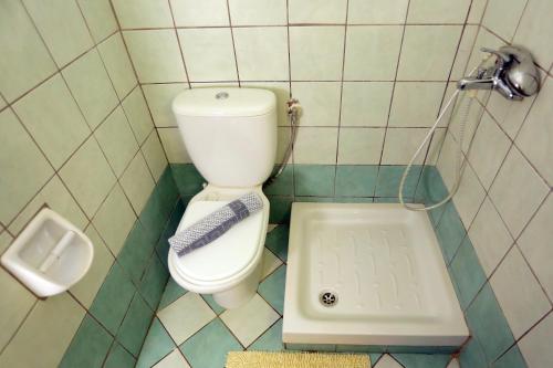 a small bathroom with a toilet and a sink at Rozalia Studios in Syvota