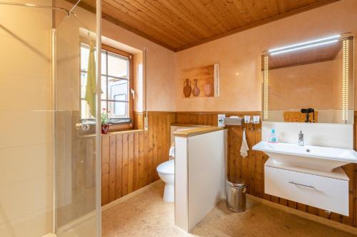 アインルールにあるFerienwohnung-Mediterranのバスルーム(トイレ、洗面台、シャワー付)