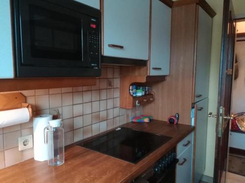 a kitchen with a sink and a microwave at Ferienwohnung Fischl in Rust