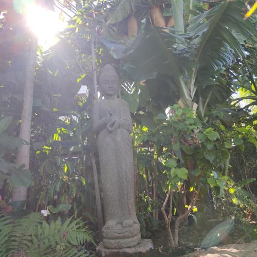 a statue in the middle of a garden at Elescondite in Sauzal