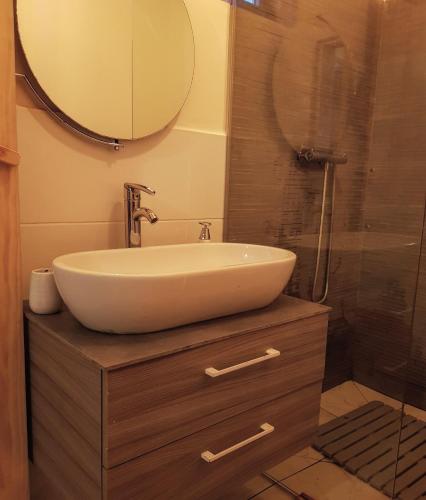 a bathroom with a sink and a shower with a mirror at Panoramic Cabin Stânceni in Ciobotani