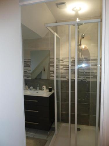 a bathroom with a shower and a sink at Résidence Honfleuraise in Honfleur