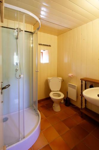 une salle de bain avec une douche, des toilettes et un lavabo dans l'établissement Gite Four a Pain Charlannes, à Hautefage