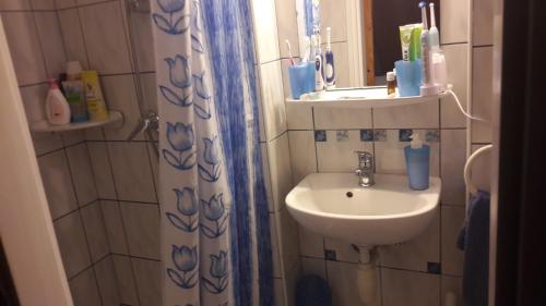 baño con lavabo y cortina de ducha en Csilla Nyaraló en Szentendre