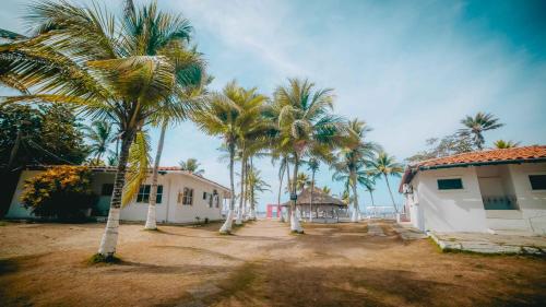 a group of palm trees in front of a building at Marbelo Coveñas by Bernalo Hotels in Coveñas