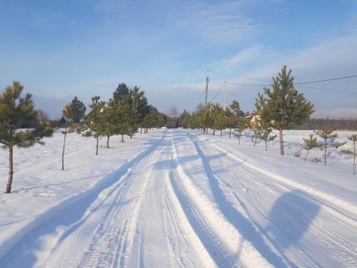Gallery image of Apartament U Kucharzy Łysica in Wilków