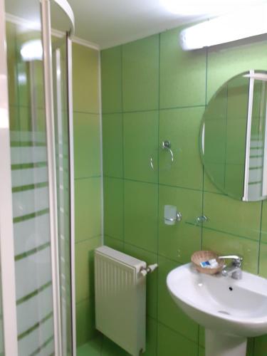 a green bathroom with a sink and a mirror at Casa Azugeana in Azuga