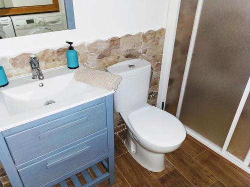 a bathroom with a toilet and a sink and a shower at Finca Ulises Las Hayas in Valle Gran Rey