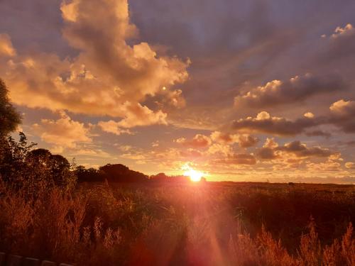 a sunset in a field with the sun in the sky at DOM GOŚCINNY PTASZARNIA - NATURA-Free PARKING in Świnoujście