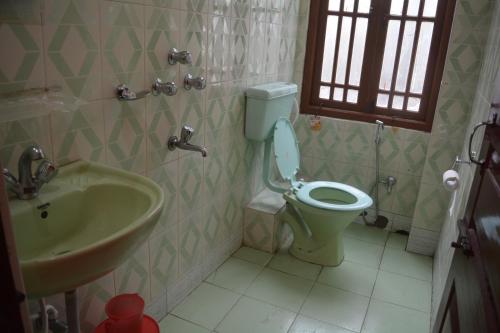 a bathroom with a toilet and a sink at Rufina Blue Pine in Lachen