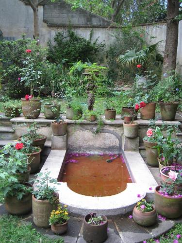 a garden with a pond with many potted plants at Casa Carmel Bed & Breakfast in Guatemala