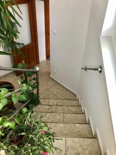 a stairway with a door and a bunch of plants at Mol-Ker-Vill Apartment in Lenti