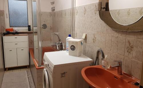 een badkamer met een wastafel en een wasmachine bij Ferienwohnung Ziegler in Steinau an der Straße
