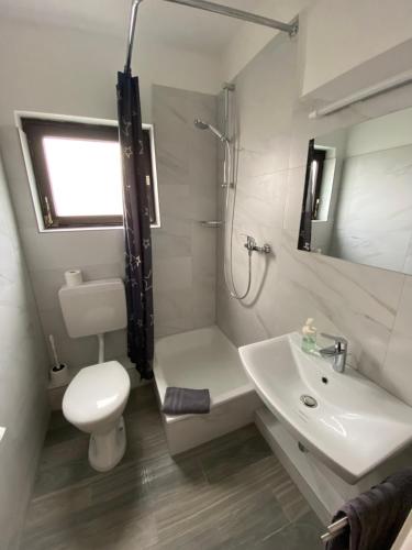 een badkamer met een toilet, een wastafel en een douche bij Römerhof in Bad Bellingen