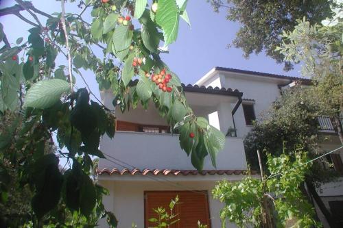 Štinjan-Studio apartment Petrić