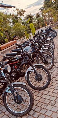 a row of motorcycles parked next to each other at Tiên Sơn Pleiku Homestay in Pleiku