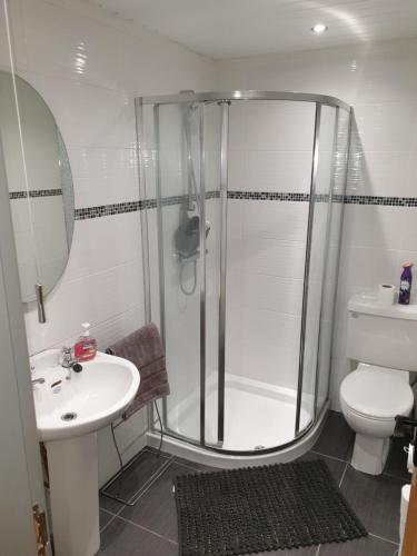 a bathroom with a shower and a sink and a toilet at CASTLE-VIEW in Castlerock