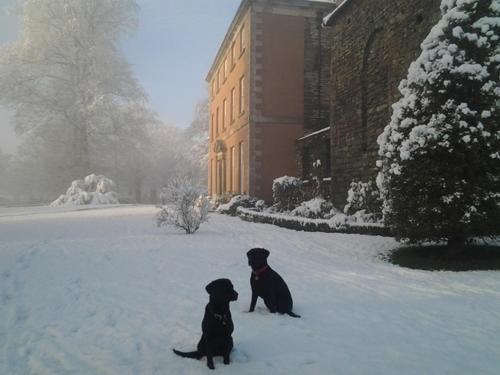 two children are walking down a snow covered street at Belmount Hall in Hawkshead