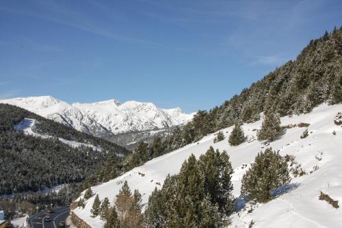 a snow covered mountain with trees and a road at APARTAMENTS COLELLS in Bordes d´Envalira