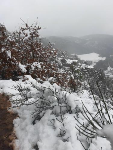 Φυσικό τοπίο κοντά σε αυτό το διαμέρισμα