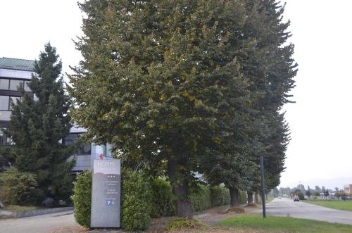 a sign in front of a tree next to a building at HOTEL CAVALIERI in Pinerolo