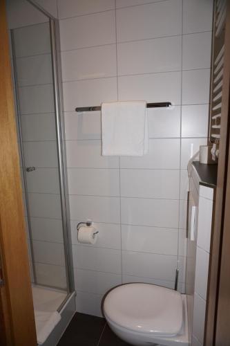 a small bathroom with a toilet and a shower at RUTHMANN-Rheinblick GARNI in Oestrich-Winkel
