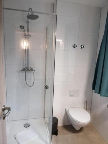 a bathroom with a shower and a toilet at Hotel im Gässle in Süßen