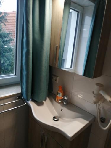 a bathroom sink with a green shower curtain and a mirror at Hotel im Gässle in Süßen