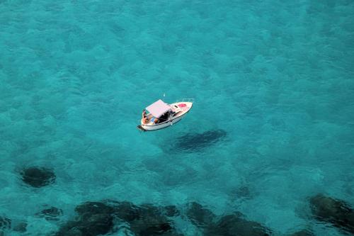 a small boat in the blue water at Case di Berto in Capo Vaticano
