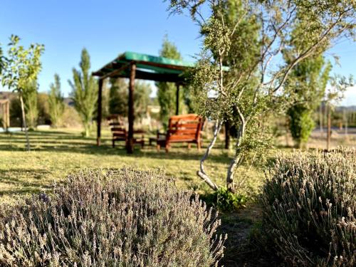 a gazebo with a bench in a park at Cabañas EcoNature in Valle Grande