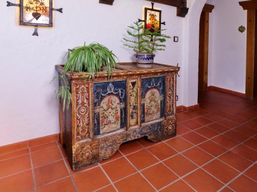 a wooden cabinet with a potted plant on top of it at Apparthof Sunnwies in Oetz