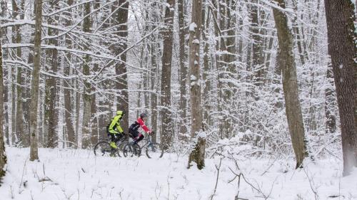 two people riding bikes through a snow covered forest at Pensiunea Tara Fagilor in Suceava