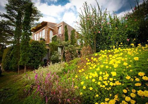 a field of flowers in front of a house at La Toscana in Suan Phung