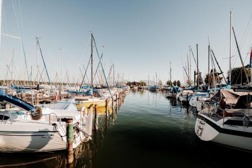 a bunch of boats are docked in a marina at QC Hotel Quartier Chiemsee in Seebruck