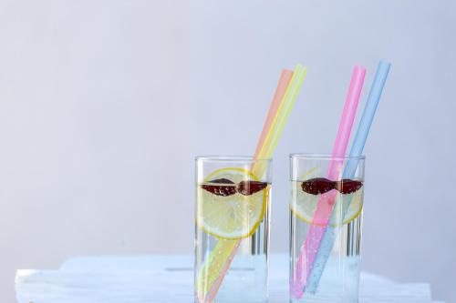 two glasses of wine and a drink with a slice of lemon at Seaside Guesthouse by JR City Apartments in Jadranovo