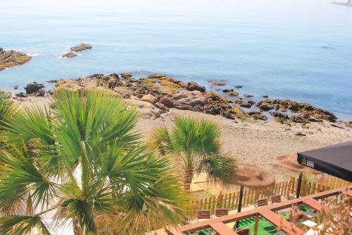 a view of a beach with palm trees and the ocean at Hotel Patricia in Torreguadiaro