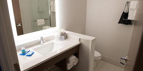 een badkamer met een wastafel met een spiegel en een toilet bij Holiday Inn Express & Suites Dayton North - Vandalia, an IHG Hotel in Dayton