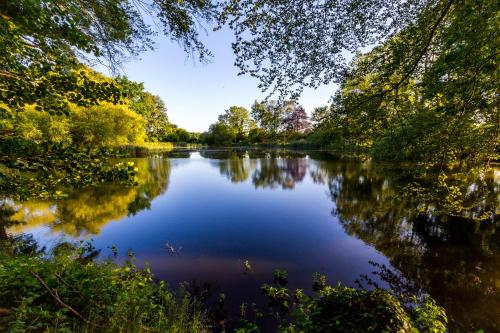 a view of a river with trees on the side at Matys Landhausperle an der Müritz in Röbel