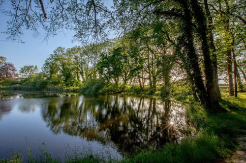 a river with trees reflecting in the water at Matys Landhausperle an der Müritz in Röbel