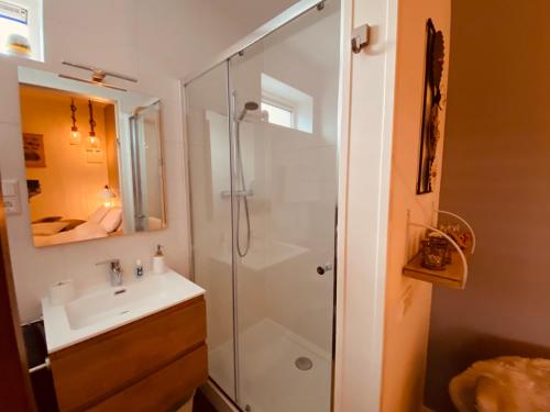een badkamer met een douche en een wastafel bij B&B Zen in Lage Zwaluwe