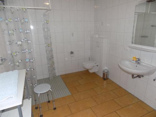 een badkamer met een toilet, een wastafel en een douche bij Sterne-Anlage HOF NIEMEYER Steinhuder Meer in Neustadt am Rübenberge