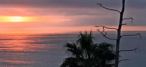 a sunset over the ocean with a palm tree at Hotel Patricia in Torreguadiaro