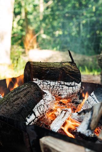 a close up of two logs on a camp fire at Penbedw Uchaf Estate - Rural retreats, tennis in Mold