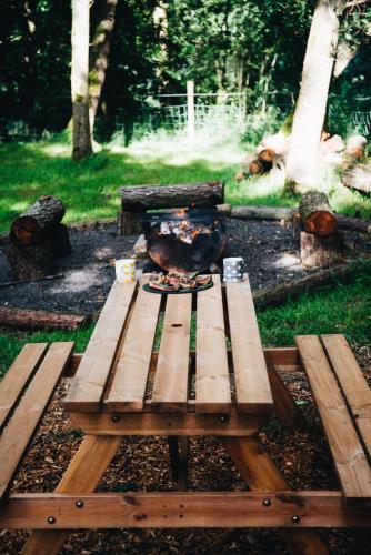 a chicken sitting on top of a wooden picnic table at Penbedw Uchaf Estate - Rural retreats, tennis in Mold
